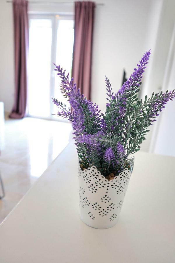 Apartment Velvet Zadar Zewnętrze zdjęcie